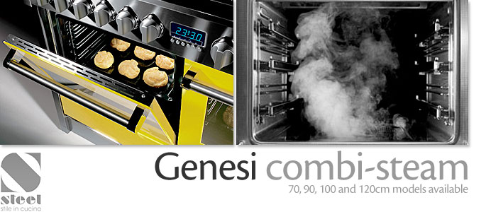 Steel Genesi Steam Oven